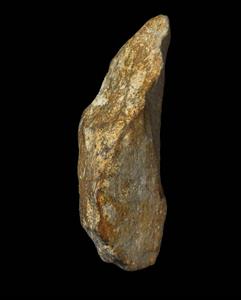 Handaxe
 Photographer:Yolovitch Yael