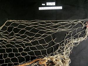 Net for catching birds
 Photographer:Clara Amit