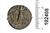 Coin ,Agrippa II (85/86),Tiberias