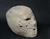 Plastered Human Skull