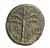 Coin ,Bar Kokhba (134-135 A.D)