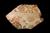 Body Sherd Oinoche Greek  