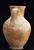 Amphora  