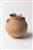 קנקנית (Small Jar) צבועה 