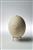 Ostrich Egg  