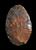 Oval Hand Axe  