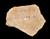 Ostracon Inscribed 