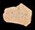 Ostracon Inscribed 