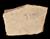 Ostracon Inscribed 