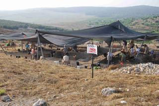 Working under the shade cloth