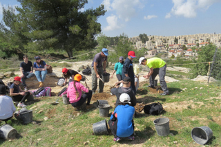 תמונות מהפעילות בגילה. צילום: באדיבות רשות העתיקות