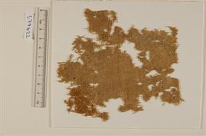 Fragment Textile
Photographer:Clara Amit