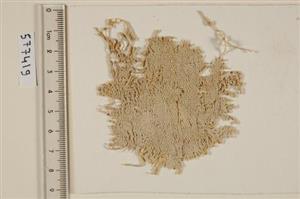 Fragment Textile
Photographer:Clara Amit