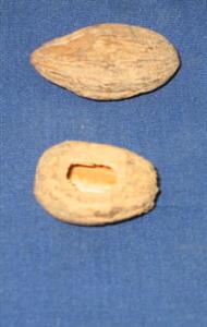 Stone Egyptian balsam