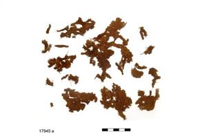 Fragment Textile   