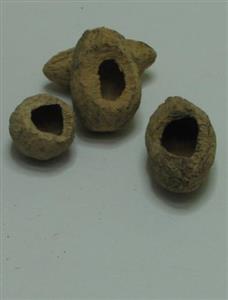 Stone Egyptian balsam