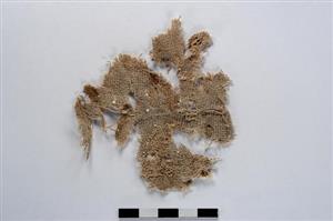 Fragment Textile