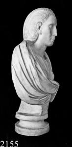 Bust Female Image
Photographer:Mutter Arcady