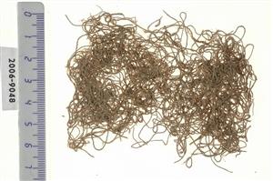 Fragment Thread
 Photographer:Clara Amit
