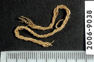 Fragment Thread
 Photographer:Clara Amit