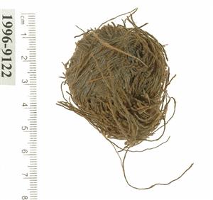 Ball of Threads
Photographer:Clara Amit