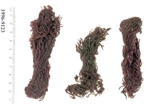 Threads  
 Photographer:Clara Amit