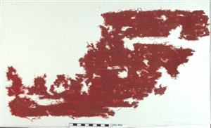 Fragment Textile
Photographer:Clara Amit