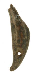 Tooth Pendant
 Photographer:Salzberger Mariana