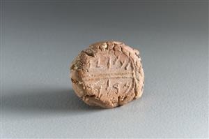 Bulla Inscribed
Photographer:Koren Miki