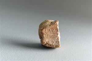 Bulla Inscribed
Photographer:Koren Miki