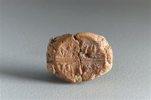 Bulla Inscribed
Photographer:Koren Miki