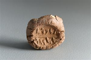 Bulla Inscribed
Photographer:Koren Miki