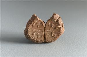 Bulla Inscribed
Photographer:Koren Miki