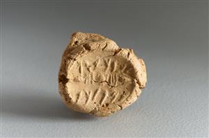Bulla Inscribed
Photographer:Koren Miki