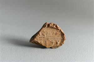 Bulla Inscribed
Photographer:Koren Miki
