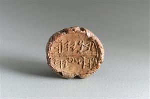 Bulla Inscribed
Photographer:Koren Miki
