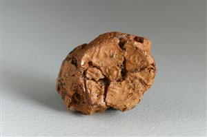 Bulla Inscribed
Photographer:Koren Miki