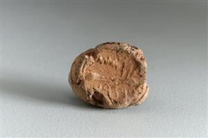 Bulla Inscribed
Photographer:Koren Miki