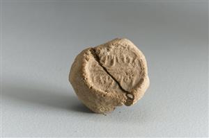 Bulla Inscribed
Photographer:Koren Miki