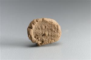 Bulla Inscribed
Photographer:Koren Miki