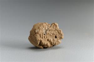 Bulla Inscribed
Photographer:Koren Miki