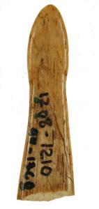 Fragment Spatula