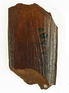 Fragment Worked Bone Incised