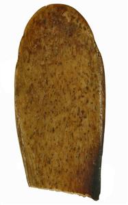 Fragment Spatula