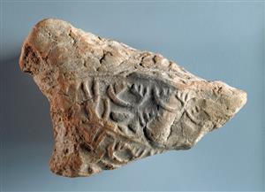 Bulla Egyptian 
 Photographer:Clara Amit