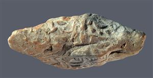 Bulla Egyptian 
 Photographer:Clara Amit