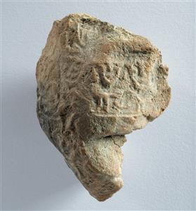 Bulla Egyptian
 Photographer:Clara Amit