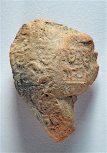 Bulla Egyptian
 Photographer:Clara Amit