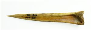Awl
 Photographer:Clara Amit