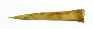 Awl
 Photographer:Clara Amit
